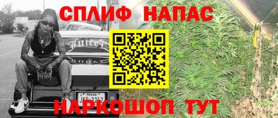 спиды Шелехов