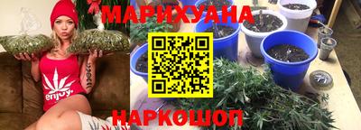 шишки Шахты