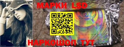 шишки Шахты