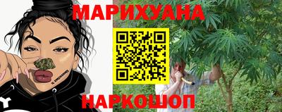шишки Шахты
