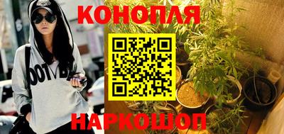 шишки Шахты