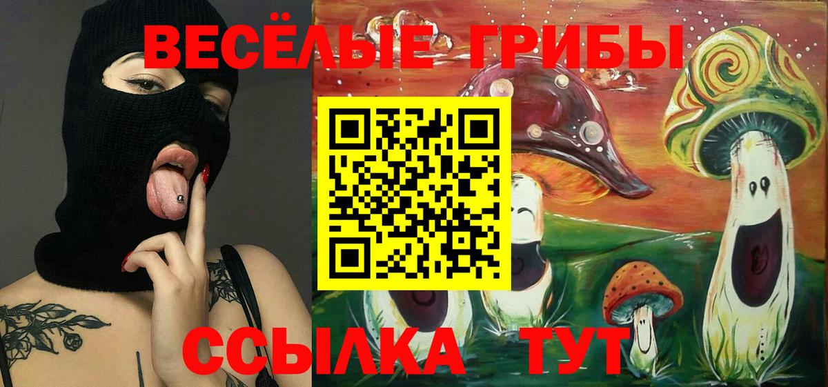 Псилоцибиновые грибы Cubensis  Псилоцибиновые грибы прущие грибы  Видное  Вход с VPN 